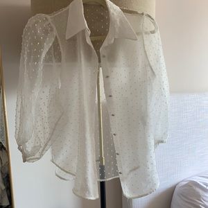 Zara Sheer Top